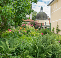 fileadmin/roha/images_galerie/orte_landschaft/Laufen/LAUF-STIFTSK-GART-0001-D-roha-Laufen-Stiftskirche-Garten-Blumen.png