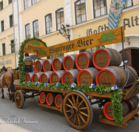 fileadmin/roha/images_galerie/orte_landschaft/Teisendorf/Teisendorf-Markt/WIENINGER-BRAU-GESPANN-0003-D-roha-Teisendorf-Wieninger-Brauerei-Gespann-Bier-Fass.png