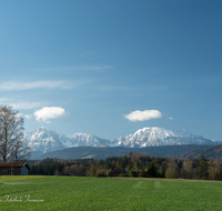 fileadmin/roha/images_galerie/orte_landschaft/Teisendorf/IN-LANDS-Teisendorf/LANDS-TEIS-HOCHST-0027-01-D-roha-Landschaft-Teisendorf-Ufering-Hochstaufen-Zwiesel.png