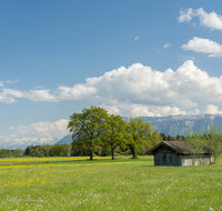 fileadmin/roha/images_galerie/orte_landschaft/Saaldorf/LANDS-SAAL-SILL-0004-4-D-roha-Landschaft-Saaldorf-Sillersdorf-Untersberg.jpg
