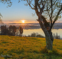 fileadmin/roha/images_galerie/stimmung-Sonne/Sonnenaufgang/SON-AU-WAGI-0040-5420-D-roha-Sonnenaufgang-Waginger-See.jpg