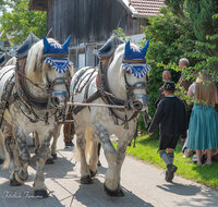 fileadmin/roha/images_galerie/brauchtum/Leonhardiritt/Holzhausen_01/Holzhausen-ritt-2025/BR-PFRI-HOLZ-2025-1041-10-D-roha-Brauchtum-Leonhardiritt-Holzhausen-Teisendorf.jpg