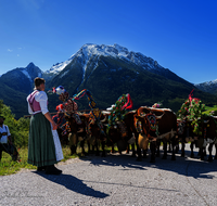 fileadmin/roha/images_galerie/brauchtum/Almabtrieb/Almabtrieb-Ramsau-Mordau/BR-ALMAB-BGD-RA-HINT-01-1234-02-D-roha-Brauchtum-Almabtrieb-Ramsau-Hochschwarzeck.png
