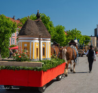 fileadmin/roha/images_galerie/brauchtum/Leonhardiritt/Tittmoning-Georgiritt/BR-PFRI-TITTM-2-3924-D-roha-Brauchtum-Pferdeumritt-Georgiritt-Tittmoning.jpg