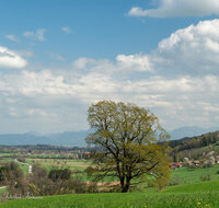 fileadmin/roha/images_galerie/orte_landschaft/Teisendorf/IN-LANDS-Teisendorf/LANDS-TEIS-SURT-10-948-D-roha--Landschaft-Teisendorf-Surtal-Oberteisendorf.jpg