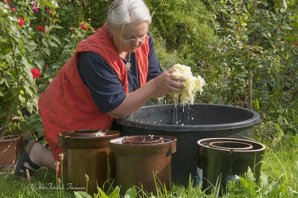 Sauerkraut einmachen RoHa Fotothek