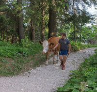 fileadmin/roha/images_galerie/orte_landschaft/Stoisser-Alm/BR-ALMAUF-STOISS-1-7935-D-roha-Almauftrieb-Stoisseralm-Teisendorf-Anger.jpg