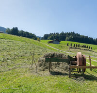 fileadmin/roha/images_galerie/Landwirtschaft/LANDW-HEU-0003-D-roha-Landwirtschaft-Heu-Ernte-Neukirchen.jpg
