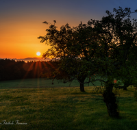 fileadmin/roha/downloads-rupertiwinkel/Sonne/Sonnenaufgang/SO-AU-TEI-GRAF-0002-D-roha-Sonnenaufgang-Teisendorf-Grafenberg.png
