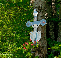 fileadmin/roha/images_galerie/kirche_religion/Berchtesgaden/KKKM-BGD-MARIAG-0001-D-roha-Wegkreuz-Obergern-Berchtesgaden-Baum-Maria-Gern.png
