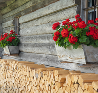 fileadmin/roha/images_galerie/orte_landschaft/Teisendorf/Neukirchen/LANDA-ALM-0007-D-roha-Landart-Alm-Huette-Holz-Blumenschmuck-Geranien-Neukirchen-Koehler.png
