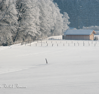 fileadmin/roha/images_galerie/Winter/WINT-TEI-UF-0003-D-roha-Winter-Teisendorf-Ufering-Stadel-Zaun-Weg-Eisenbahn.png