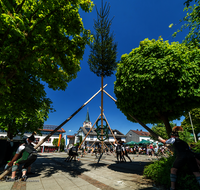fileadmin/roha/images_galerie/brauchtum/Maibaum/Teisendorf/BR-MAIB-TEI-0101-2025-1414-2-D-roha-Brauchtum-Maibaum-Teisendorf.png