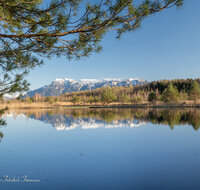 fileadmin/roha/images_galerie/orte_landschaft/Ainring/AINR-MOOR-100-2896-D-roha-Ainring-Moor-See-Untersberg.jpg