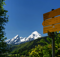 fileadmin/roha/images_galerie/wege/BGD-BISCH-WATZ-0009-D-roha-Berchtesgaden-Bischofswiesen-Watzmann-Weg-.png