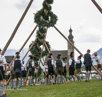 fileadmin/roha/images_galerie/brauchtum/Maibaum/Anger-Hoeglwoerth/BR-MAIB-ANG-2017-1402-01-D-roha-Brauchtum-Maibaum-Anger.png