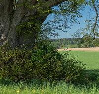 fileadmin/roha/Header-Unterseiten/KKKM-FRID-0010-3-D-roha.jpg