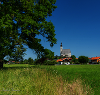 fileadmin/roha/images_galerie/orte_landschaft/Anger/Anger/AN-0022-1-2-D-roha-Anger-Baum-Kirche-Maria-Himmelfahrt.png