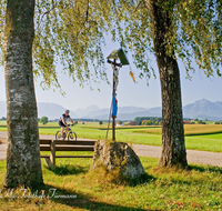 fileadmin/roha/images_galerie/Freizeit-Sport/Mountainbike-Radfahren/SPO-MOUN-ABTS-0005-D-roha-Sport-Mountainbike-Saaldorf-Abtsdorf-Baum-Bank-Hochstaufen-Watzmann-Wegkreuz.png