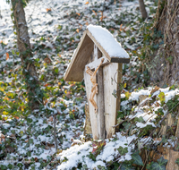 fileadmin/roha/images_galerie/kirche_religion/Anger/KKKM-ANG-HOEG-0034-D-roha-Wegkreuz-Anger-Hoeglwoerth-Buche-Efeu-Winter.png