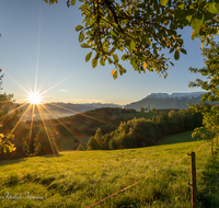 fileadmin/roha/images_galerie/orte_landschaft/Piding/SON-AU-JOH-0001-0724-D-roha-Sonnenaufgang-Piding-Johannishoegl-Untersberg-Neubichler-Alm.png