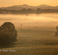 fileadmin/roha/images_galerie/stimmung-Sonne/STIM-SILL-0007-D-roha-Stimmung-Sonnenaufgang-Saaldorf-Sillersdorf-Jaegerstand-Nebel.png