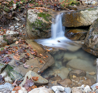 fileadmin/roha/images_galerie/wasser/WAS-WILDB-STOISS-0105-D-roha-Wasser-Wildbach-Stoissermaisbach-Poschennockbach-Teisenberg.png