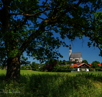fileadmin/roha/images_galerie/orte_landschaft/Anger/Anger/AN-0022-1-4-D-roha-Anger-Baum-Kirche-Maria-Himmelfahrt.png
