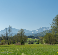 fileadmin/roha/images_galerie/orte_landschaft/Teisendorf/IN-LANDS-Teisendorf/LANDS-TEIS-ALM-0033-D-roha-Landschaft-Teisendorf-Bauernhof-Almeding-Hochstaufen-Zwiesel.png