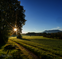 fileadmin/roha/images_galerie/stimmung-Sonne/STIM-SAALD-NEUKL-0001-1-D-roha--Stimmung-Sonne-Saaldorf-Neukling.png