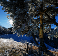 fileadmin/roha/images_galerie/stimmung-Sonne/KKKM-ANG-FUERM-WI-0003-D-roha-Gipfel-Weg-Kreuz-Anger-Fuermann-Alm-Winter.png