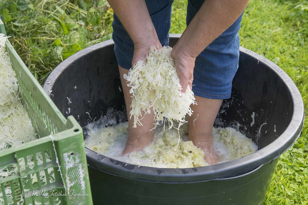 Sauerkraut einmachen RoHa Fotothek