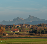 fileadmin/roha/images_galerie/orte_landschaft/Haarmoos/HAARM-0048-06-D-roha-Abtsdorf-Laufen-Haarmoos-Stadel-Saaldorf.png