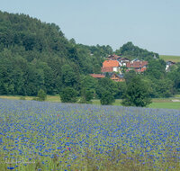fileadmin/roha/images_galerie/Landwirtschaft/LANDW-FELD-GETR-OTTM-0005-D-roha-Landwirtschaft-Getreide-Weizen-Ottmaning.jpg