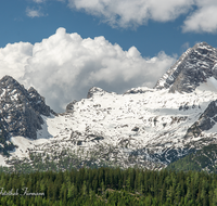 fileadmin/roha/images_galerie/orte_landschaft/Kallbrunn-Alm/KALLB-ALM-0041-D-roha-Kallbrunn-Alm-Gebirge-Blumenwiese.png