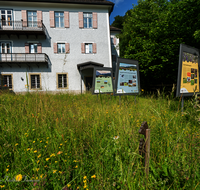 fileadmin/roha/images_galerie/orte_landschaft/Teisendorf/IN-Achthal/TEI-ACHT-0016-0-30-4-D-roha-Teisendorf-Achthal-Museum-Bienenhotel.png
