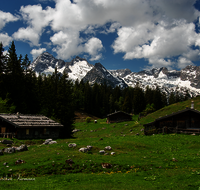fileadmin/roha/images_galerie/orte_landschaft/Kallbrunn-Alm/KALLB-ALM-0034-D-roha-Kallbrunn-Alm-Gebirge.png