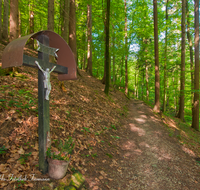 fileadmin/roha/images_galerie/kirche_religion/Teisendorf/KKKM-TEIS-WEG-WALD-0005-D-roha-Wegkreuz-Wald-Weg-Teisendorf.png