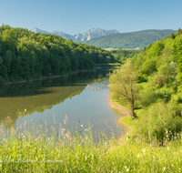 fileadmin/roha/images_galerie/orte_landschaft/Teisendorf/PE-SURSP-0010-D-roha-Petting-Teisendorf-Surspeicher-Wasser-Blumenwiese-Zwiesel.png