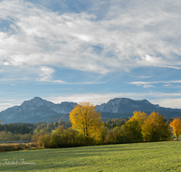 fileadmin/roha/images_galerie/orte_landschaft/Teisendorf/IN-LANDS-Teisendorf/LANDS-TEIS-UF-0011-D-roha-Landschaft-Teisendorf-Ufering-Hochstaufen-Zwiesel.png