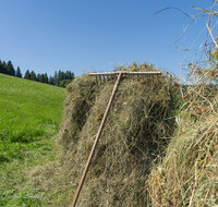 fileadmin/roha/images_galerie/Landwirtschaft/LANDW-HEU-HIEF-1-1138-2-D-roha-Landwirtschaft-Heu-Ernte-Hiefel-Neukirchen.jpg