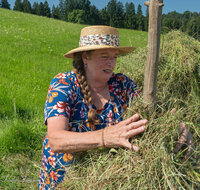 fileadmin/roha/images_galerie/Landwirtschaft/LANDW-HEU-HIEF-1-1126-1-D-roha-Landwirtschaft-Heu-Ernte-Hiefel-Neukirchen.jpg