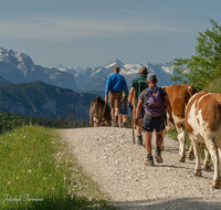 fileadmin/roha/images_galerie/orte_landschaft/Stoisser-Alm/BR-ALMAUF-STOISS-1-8020-D-roha-Almauftrieb-Stoisseralm-Teisendorf-Anger.jpg