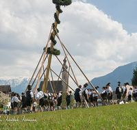 fileadmin/roha/images_galerie/brauchtum/Maibaum/Anger-Hoeglwoerth/BR-MAIB-ANG-2017-1438-01-D-roha-Brauchtum-Maibaum-Anger.png