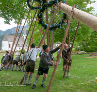 fileadmin/roha/images_galerie/brauchtum/Maibaum/Aufham/BR-MAIB-AUF-2018-1356-03-D-roha-Brauchtum-Maibaum-Anger-Aufham-Aufstellen.png