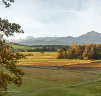 fileadmin/roha/images_galerie/orte_landschaft/Haarmoos/HAARM-0004-1-2-D-roha-Abtsdorf-Haarmoos-Watzmann-Stadel-Lattengebirge-Hochstaufen.png