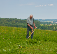 fileadmin/roha/images_galerie/Landwirtschaft/LANDW-HAND-SENS-0034-4-D-roha-Landwirtschaft-Handarbeit-Sense-Bauer-Blumenwiese-maehen.png