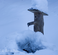 fileadmin/roha/images_galerie/Wasser-Brunnen/LANDA-BRUN-FRILL-SEE-WINT-0001-D-roha-Landart-Brunnen-Wasser-Winter-Schnee-Frillensee.png