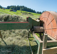 fileadmin/roha/images_galerie/Landwirtschaft/LANDW-HEU-0004-D-roha-Landwirtschaft-Heu-Ernte-Neukirchen.jpg