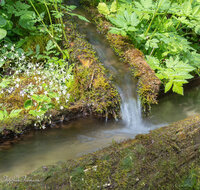 fileadmin/roha/images_galerie/Wasser-Brunnen/LANDA-BRUN-ANG-KOHLH-0001-1-D-roha-Landart-Brunnen-Wasser-Teisenberg-Kohlhaeuslstrasse.jpg